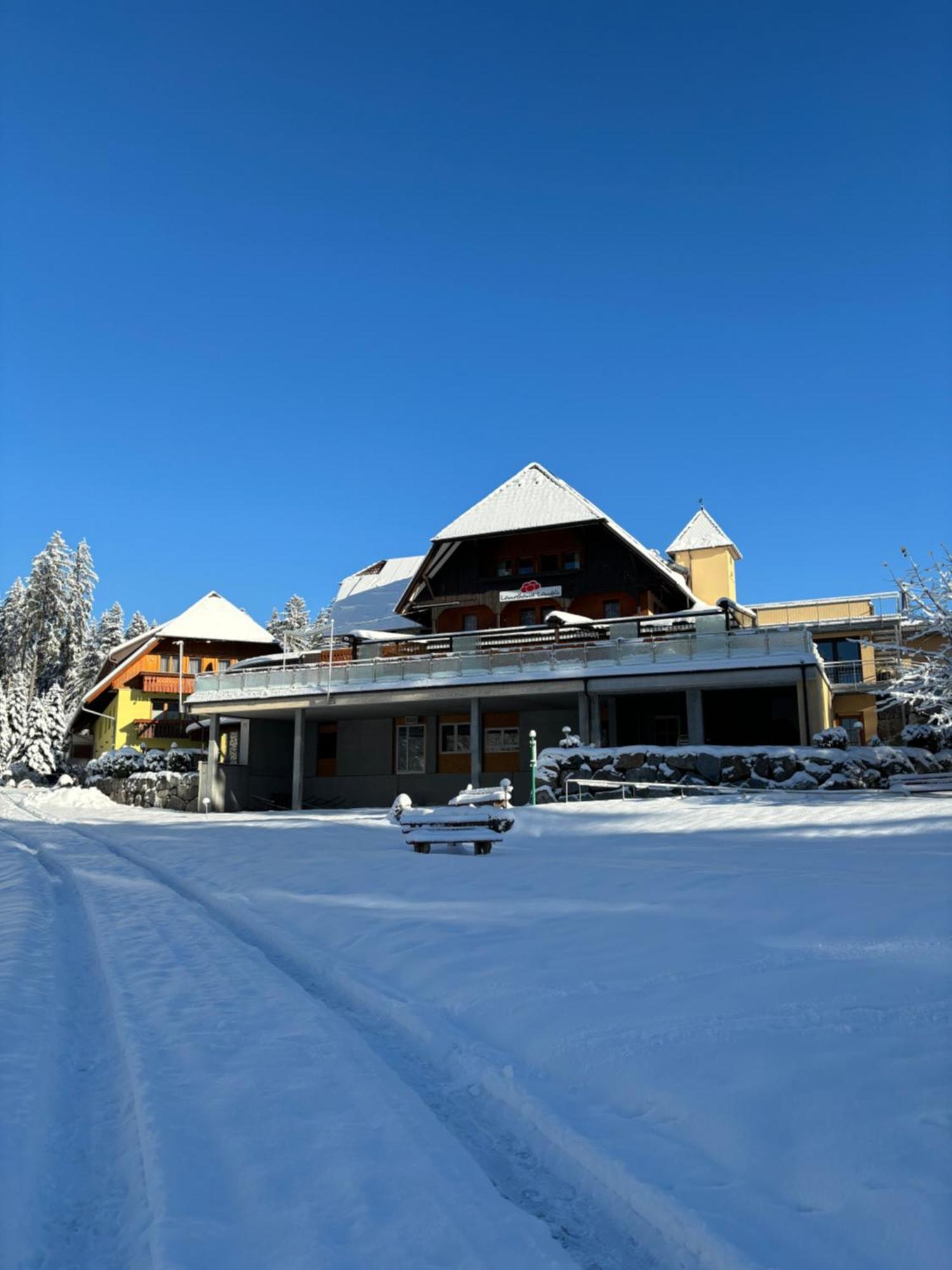 Landhaus Lauble Hornberg Luaran gambar