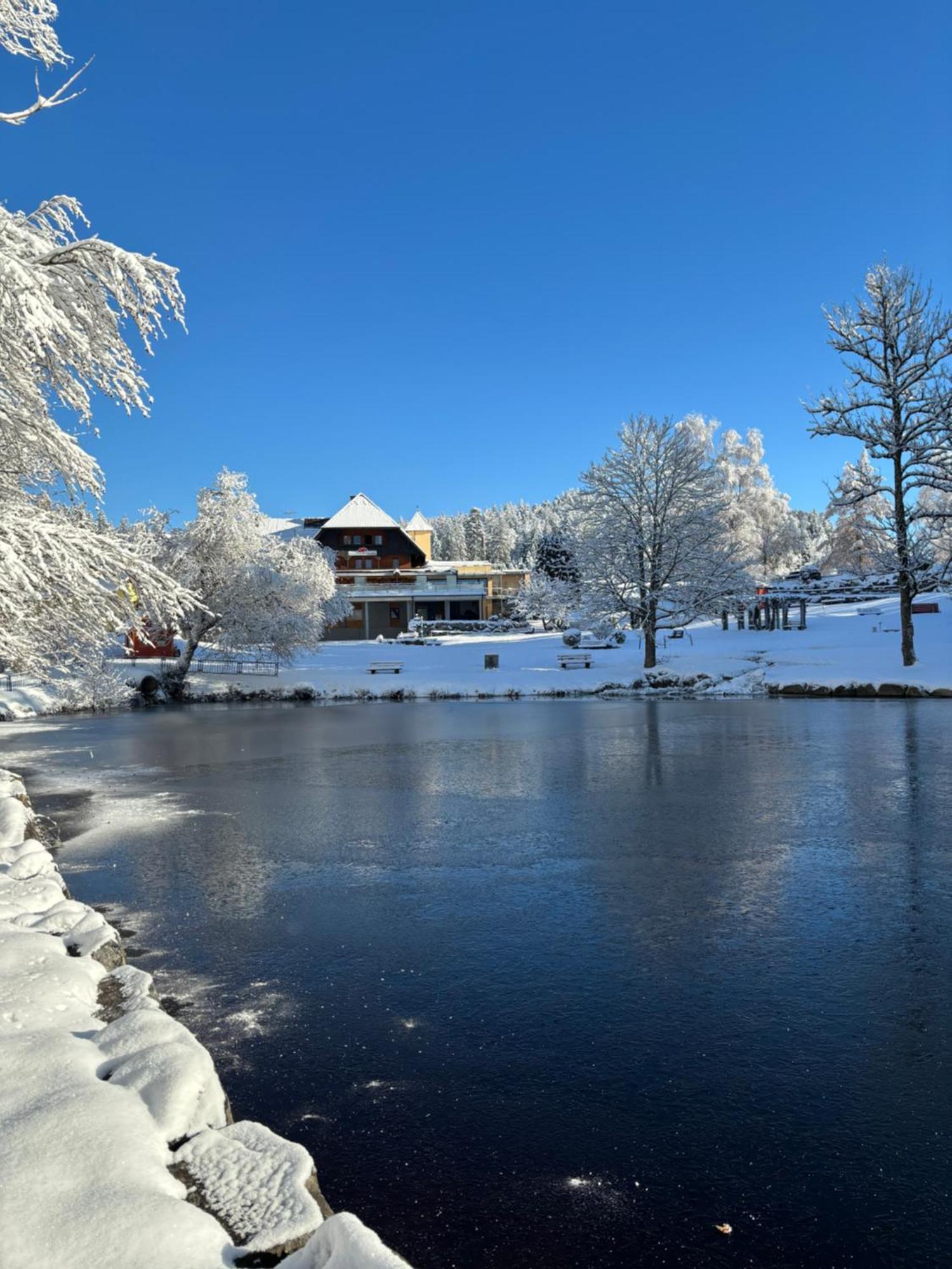 Landhaus Lauble Hornberg Luaran gambar